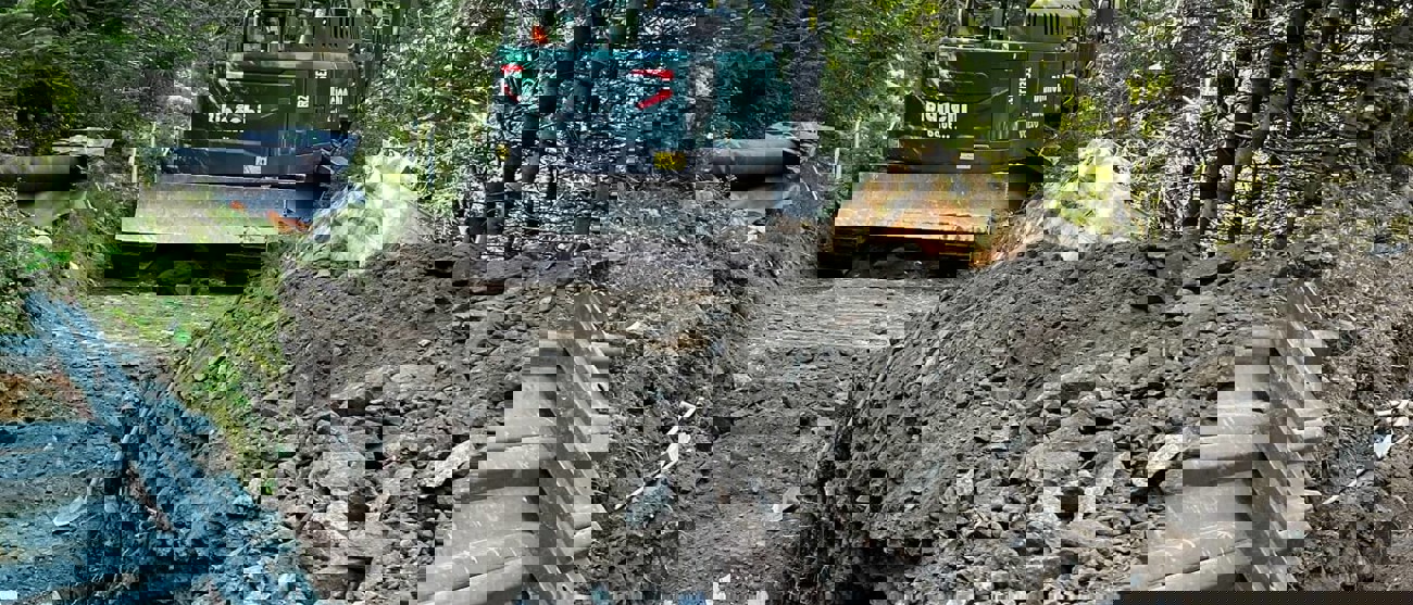 Bagger beim Aushub einer Trasse im Wald bei Laax – Vorbereitung für Erdverlegung einer Hochspannungsleitung.