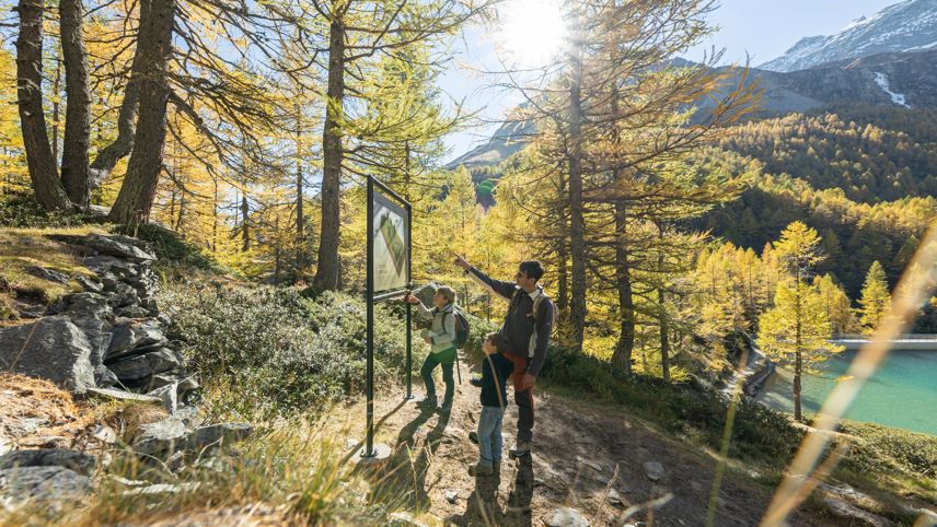 Family reads an information board on the Via Energia in larch forest; sun and mountain lake behind.